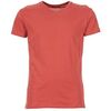 T-shirt BOTD ECALORA