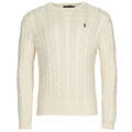 Pull Polo Ralph Lauren PULL COL ROND EN MAILLE TORSADEE Grenoble
