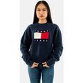 Pull sur Grenoble : Pull Tommy Jeans dw0dw18681