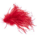 Broches Alysi SPILLA PIUME Rouge