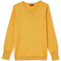 Pull Daxon by - Pull 50% laine mérinos col rond Jaune Pull sur Grenoble : Pull Daxon by - Pull 50% laine mérinos col rond Jaune