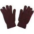Gants L&eacute;on Montane Gants Mixte multicolor