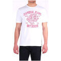 Polo Kaporal T-shirt Homme PINTO Blanc Motifs Tigre Rouge Grenoble