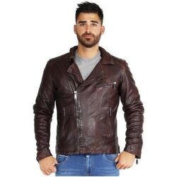 Blouson Redskins Blouson Scotty Wonder ref 46835 Reddish Brown