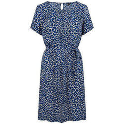 Robe King Louie Robe Billie Catnip Bleu
