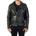 Blouson Redskins Veste Scooty Wonder