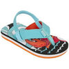 Tongs enfant Cool shoe crabe