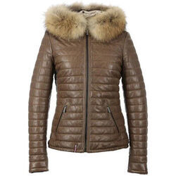 Veste Oakwood HAPPY MARRON CLAIR 503 ZZ