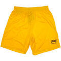 Shorts/Bermuda sur Grenoble : Short Hungaria Premium