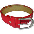 Ceinture Sacha 81398 Grenoble