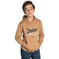 Pull sur Grenoble : Pull Deeluxe Sweat enfant Camel - FURISU