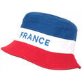 Chapeau Nyls Cr&eacute;ation Chapeau Mixte multicolor