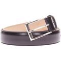 Ceintures sur Grenoble : Ceinture Berwick 1707 -