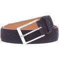 Ceintures sur Grenoble : Ceinture Berwick 1707 -