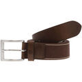Ceintures sur Grenoble : Ceinture Timberland 100012