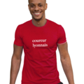 Running sur Lyon 9e Arrondissement : T-Shirt de Running Coureur du Dimanche Le Lyonnais Manches Courtes Homme, S