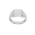 Chevali&egrave;res sur Artemare : Chevali&egrave;re en argent plateau carr&eacute; 95mm X 95mm