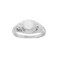 Chevali&egrave;re universitaire am&eacute;ricaine en argent - petit mod&egrave;le