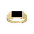 Chevali&egrave;res sur Artemare : Chevali&egrave;re en vermeil plateau rectangulaire 6mm X 11mm en onyx synth&eacute;tique