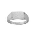 Chevali&egrave;res sur Artemare : Chevali&egrave;re en argent plateau rectangulaire 6mm X 11mm