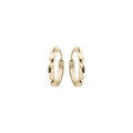 Boucles d'oreille sur Artemare : Cr&eacute;oles en argent et dorure jaune face plate diamant&eacute;e &eacute;toile 11mm