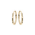 Boucles d'oreille sur Artemare : Cr&eacute;oles en argent et dorure jaune face plate diamant&eacute;e &eacute;toile 17mm