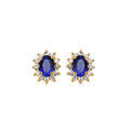 Boucles d'oreille en vermeil pierre centrale bleu fonc&eacute; entourage pierres blanches et fermoir poussette