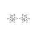 Boucles d'oreille tige en argent rhodi&eacute; marguerite oxydes blancs sertis Artemare