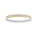 Bracelets sur Artemare : Bracelet jonc en acier rigide articul&eacute; PVD 3 tons 60x50mm