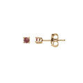 Boucles d'oreille sur Artemare : Boucles d'oreille en plaqu&eacute; or pierre v&eacute;ritable Grenat 2.5mm et fermoir poussette