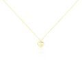 Histoire d'Or Collier Terentille Coeur Or Jaune Oxyde De Zirconium