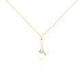 Colliers sur Grenoble : Histoire d'Or Collier Formev Or Bicolore Oxyde De Zirconium