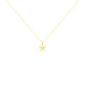 Colliers sur Grenoble : Histoire d'Or Collier Or Jaune Aenor Motif Etoile De Mer