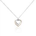 Colliers sur Grenoble : Histoire d'Or Collier Argent Bicolore Fethi