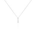 Colliers sur Grenoble : Histoire d'Or Collier Marceau Argent Blanc