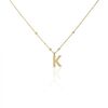 Histoire d'Or Collier Plaqu&eacute; Or Jaune Lettra
