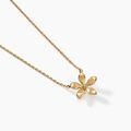 Histoire d'Or Collier Zinnia Plaqu&eacute; Or Jaune