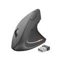 Souris TRUST 22879