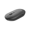 Souris TRUST 24059
