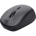 Souris TRUST 24549