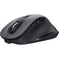 Souris TRUST 24727