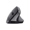 Souris TRUST 25145