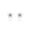 Histoire d'Or Boucles D'oreilles Puces Elais Etoile Or Blanc Oxyde De Zirconium