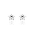 Boucles d'oreille sur Grenoble : Histoire d'Or Boucles D'oreilles Puces Elais Etoile Or Blanc Oxyde De Zirconium