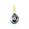 Pendentifs sur Grenoble : Histoire d'Or Pendentif Syana Or Jaune Perle De Culture De Tahiti