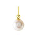 Pendentifs sur Grenoble : Histoire d'Or Pendentif Lenonie Or Jaune Perle De Culture