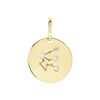 Histoire d'Or Pendentif Or Jaune Astraea Oxyde De Zirconium
