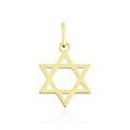 Pendentifs sur Grenoble : Histoire d'Or Pendentif Faye Or Jaune