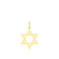 Pendentifs sur Grenoble : Histoire d'Or Pendentif Faye Or Jaune
