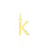 Histoire d'Or Pendentif Ionia Lettre Or Jaune